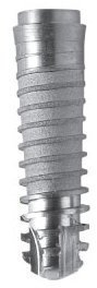 Morse Cone main image