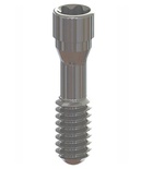 Prosthetic screw