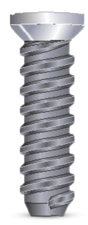 Cylindrical main image