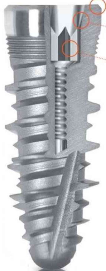 BIOCOIN CONOMETRICO main image