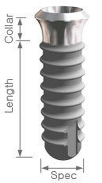 Apolonia Internal Straight Type main image