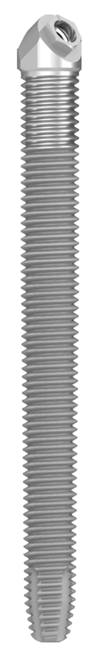 Zygomatic main image