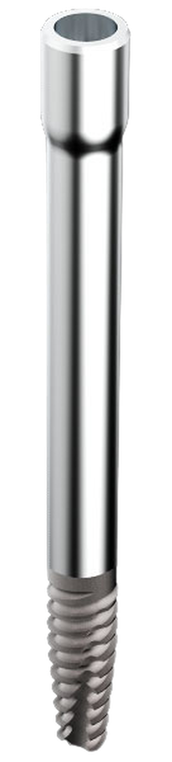 Zygomatic main image