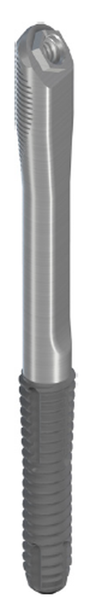 Zygomatic main image