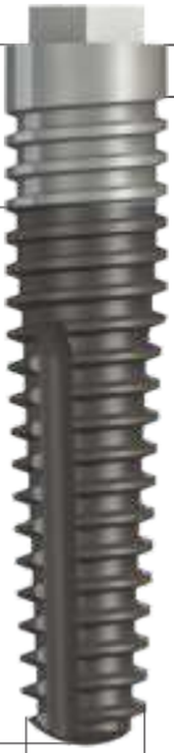 MSc-IP Piccolo main image