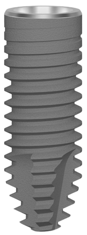CSR (Straight Neck) main image