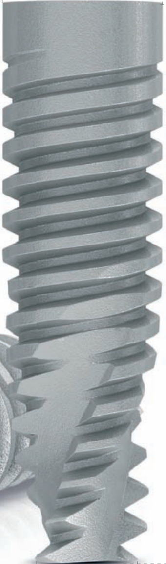 M4 hexagone interne main image