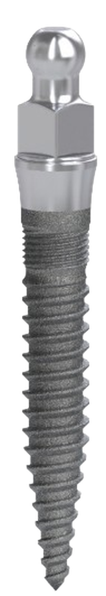 MDL (new) main image