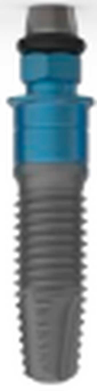 Universal Externa main image