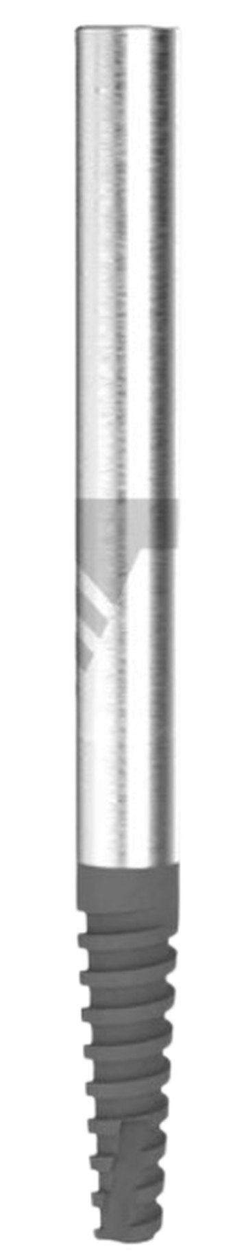 ZYG main image