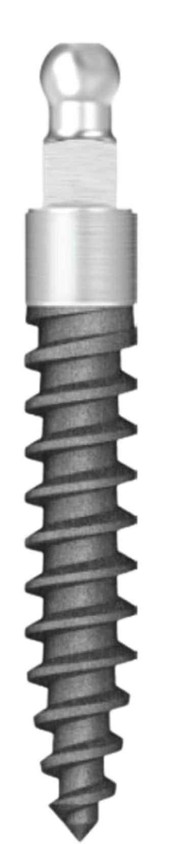 ProTem Secure Ball main image