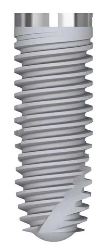 System 2P main image