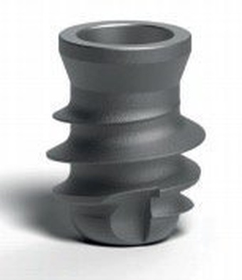 XCN® Short 6.5 main image