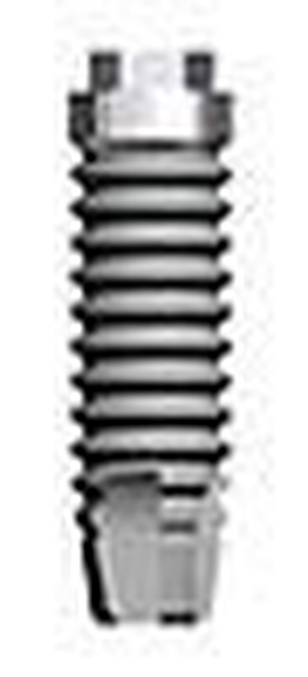 Apolonia External Straight Type main image