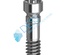 Abutment screw
