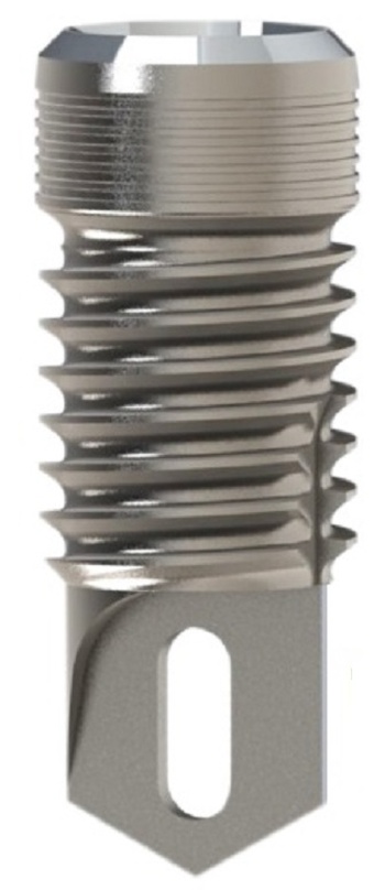Easy Rapid main image