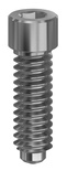 Abutment screw