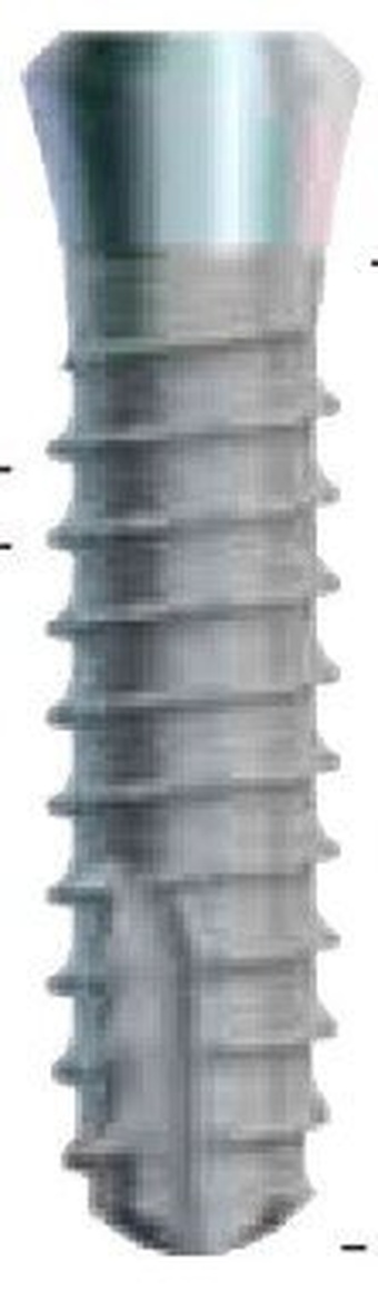 SwissPlus Straight main image