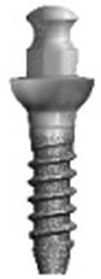 Brevis Transitional main image