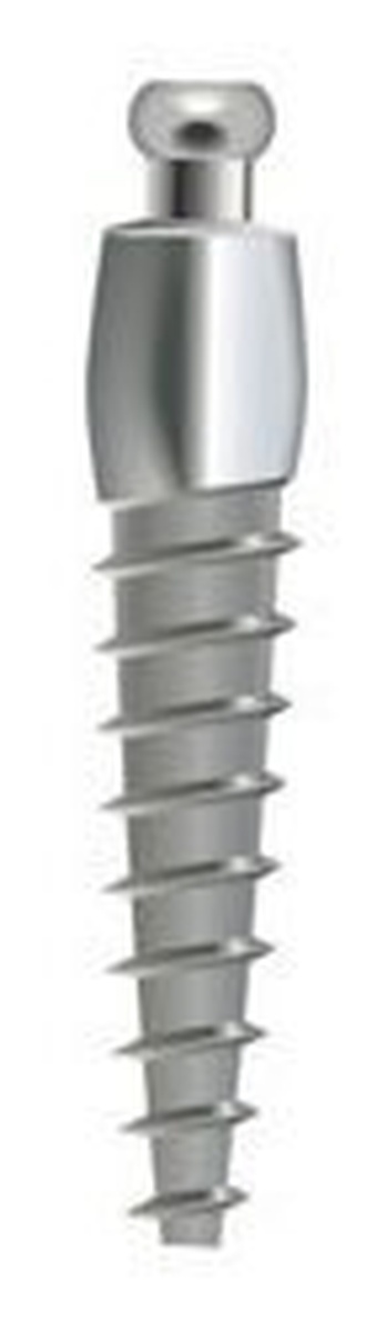 Antic Ball main image