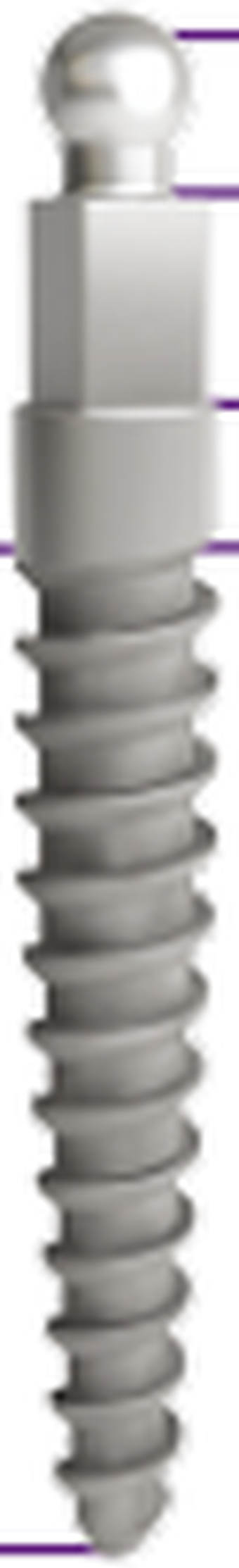 Transitorio ÌT main image