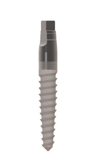 MOR-A main image