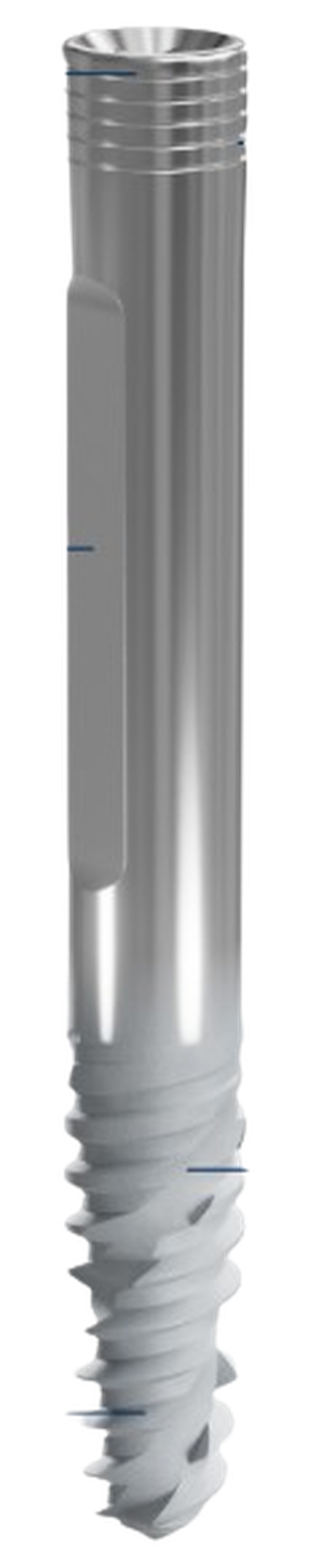 Zygomatic main image
