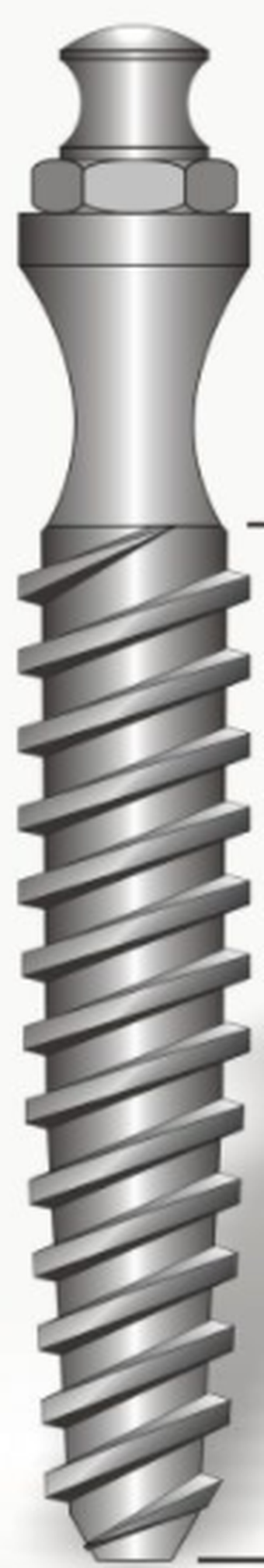 IPTB main image