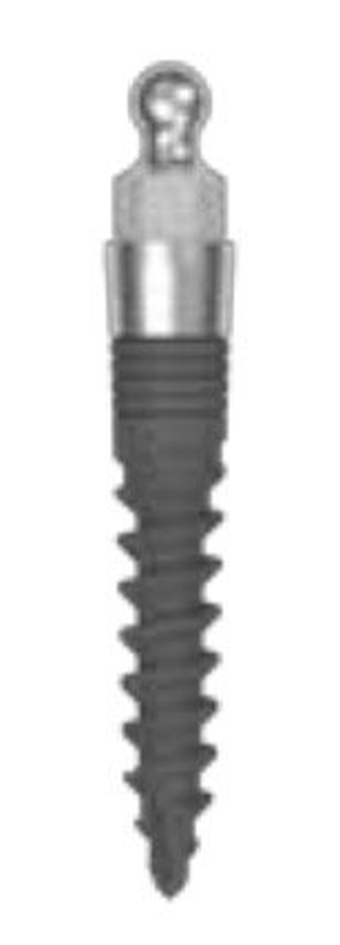 Mini Conus main image