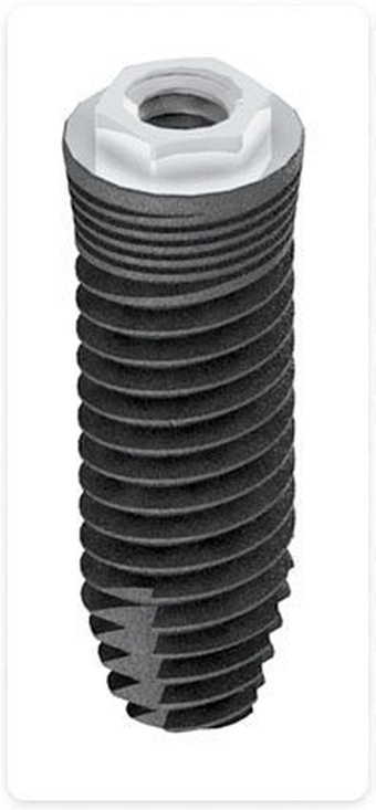 Coral Externa main image