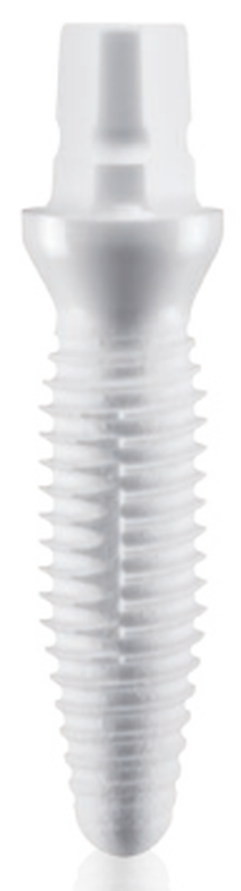 One-Piece main image