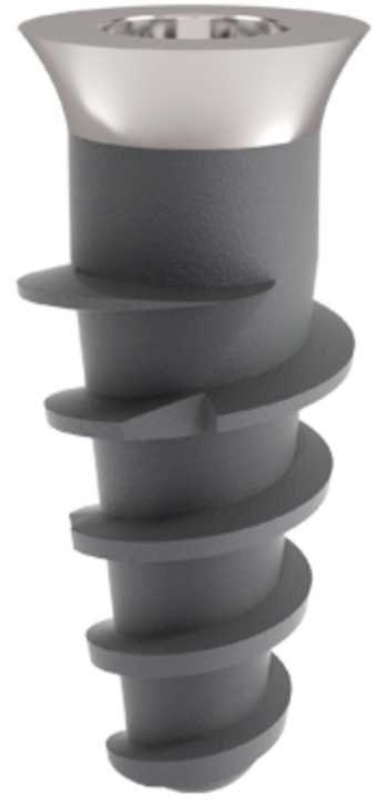 Matrix SL InthEx main image