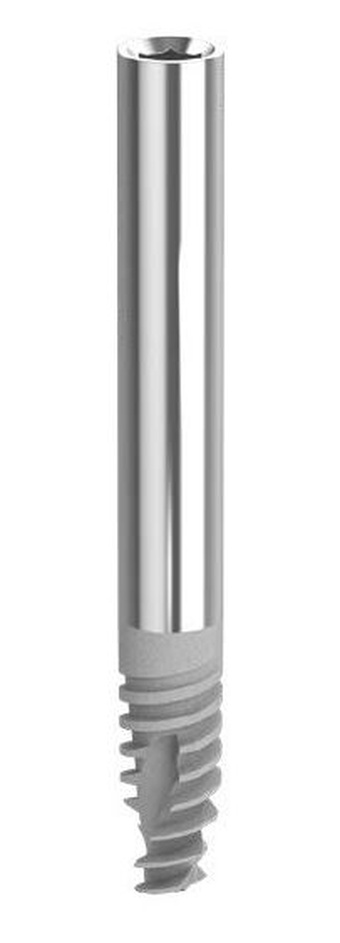 INTERNAL HEX  ZYGOMATIC main image