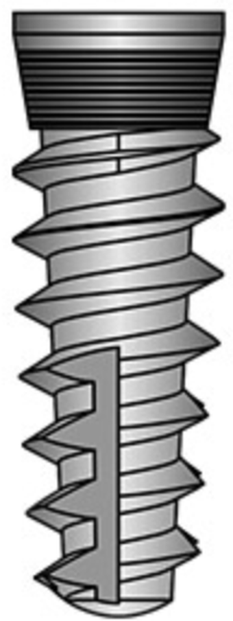 Top Conical main image