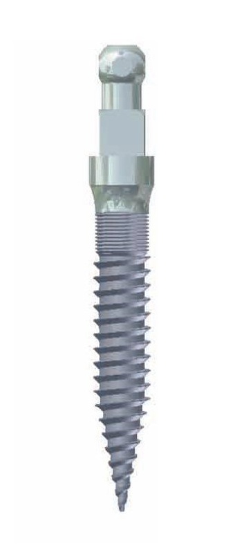 Biotec Mini Implant main image