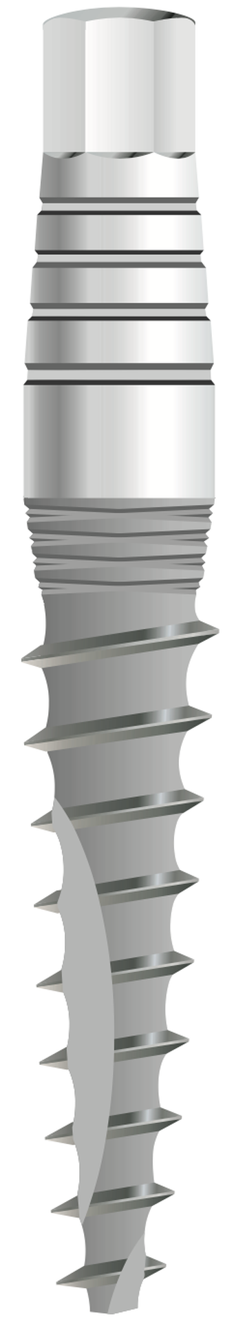 Oi-5 main image