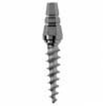 Oneday Original main image