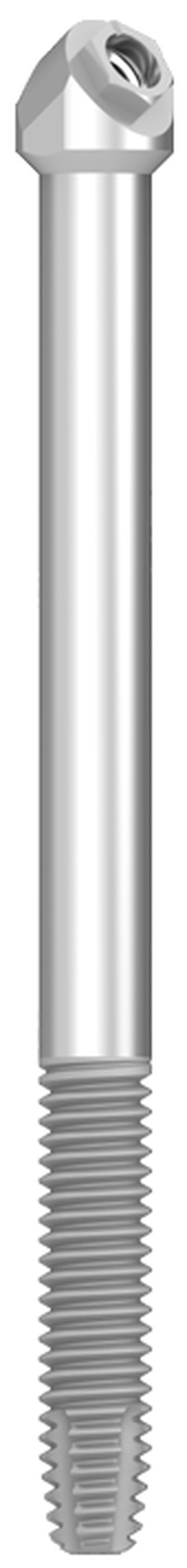 Zygex main image