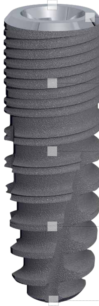 TioLogic TwinFit main image