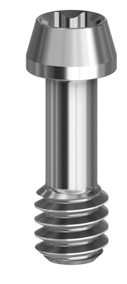 Abutment screw