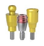 Overdenture restoration image