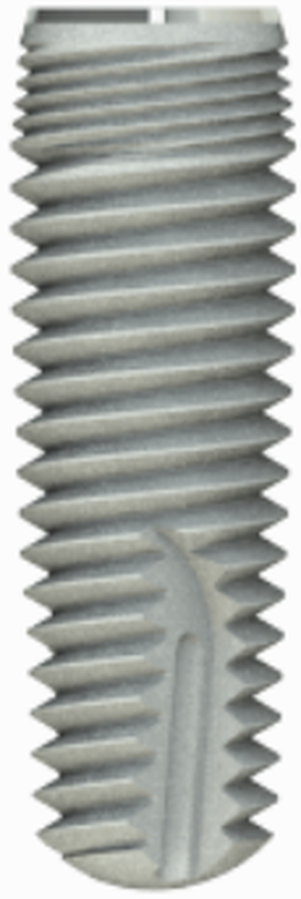 P1 main image