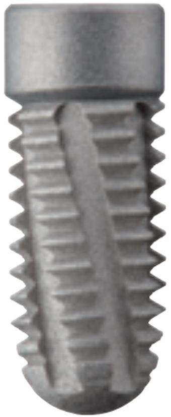 Easy Fast S main image