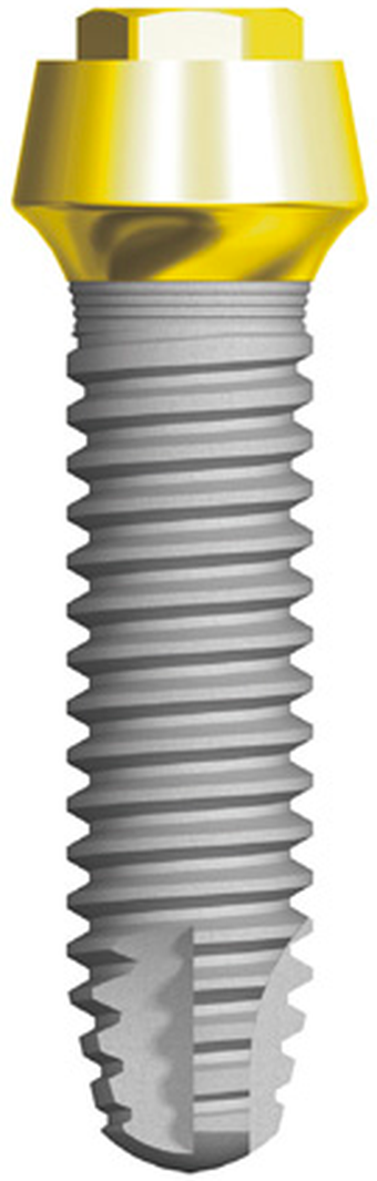 Vertical Neck Regular main image