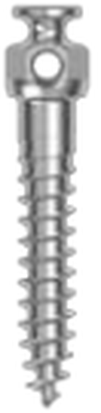 Orthodontic main image