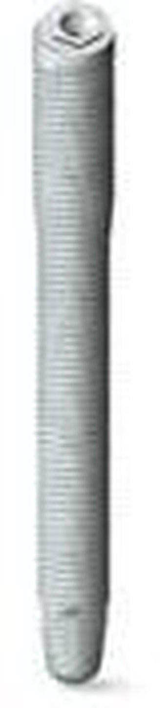 Master Zigo main image