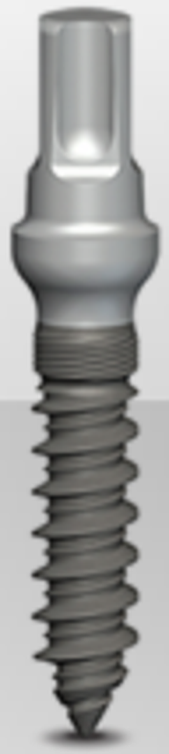 One Piece main image