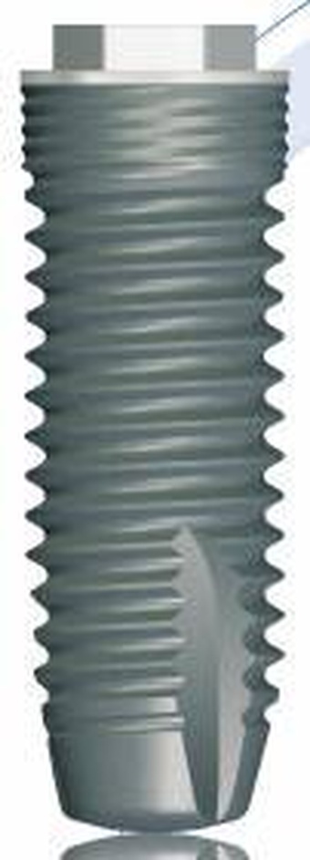 Universal+ main image