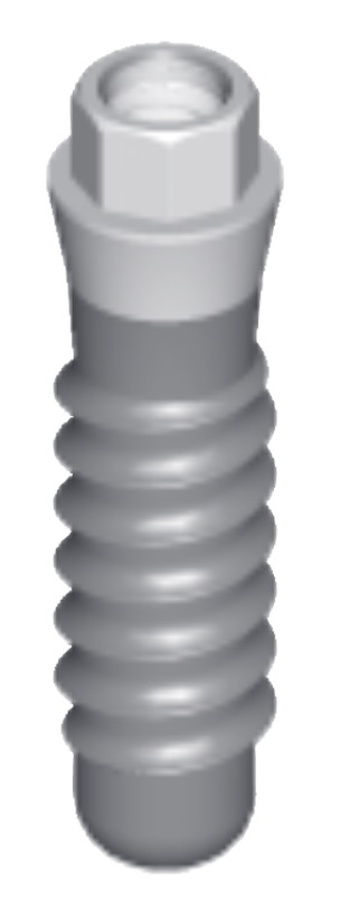 Standard Plus NN (ext octa) main image