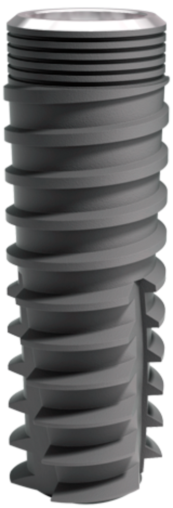 Matrix Y Esthetic InthEx main image